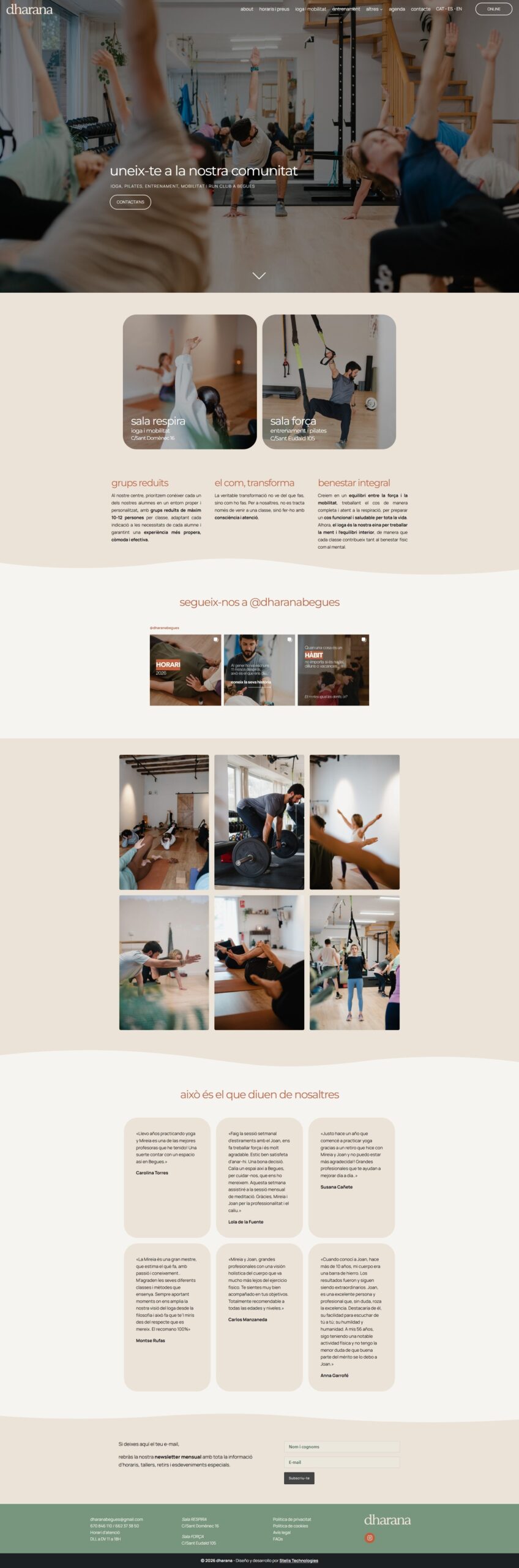 Página web WordPress para Dharana | STELIS