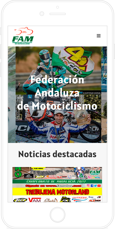 Página web WordPress para FAM | API | STELIS