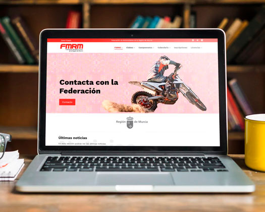 Stelis Technologies Servicio asistencia y mantenimiento