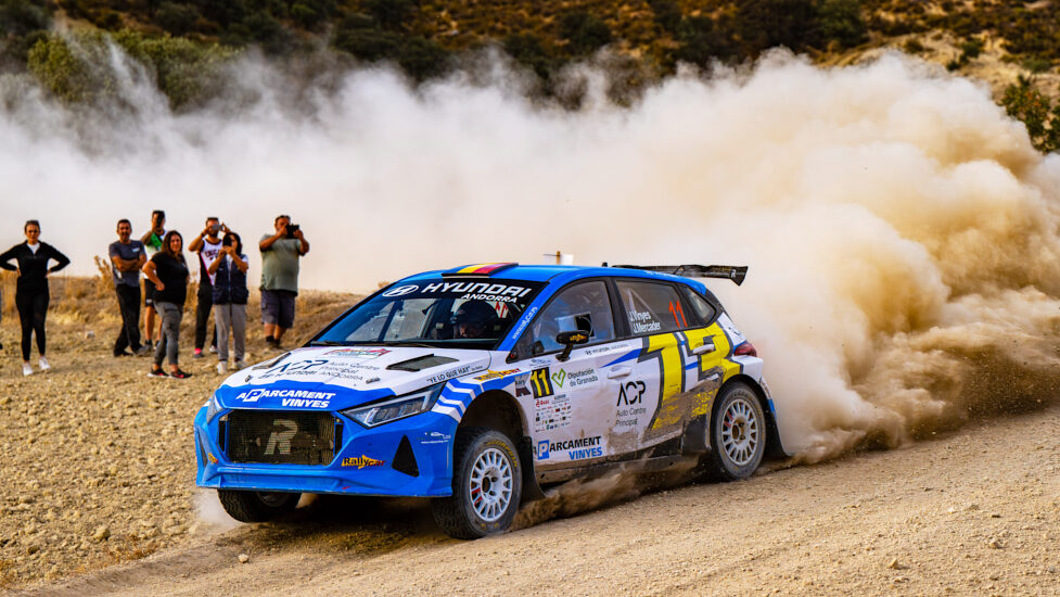 Equip vinyes dabad: Página web Wordpress