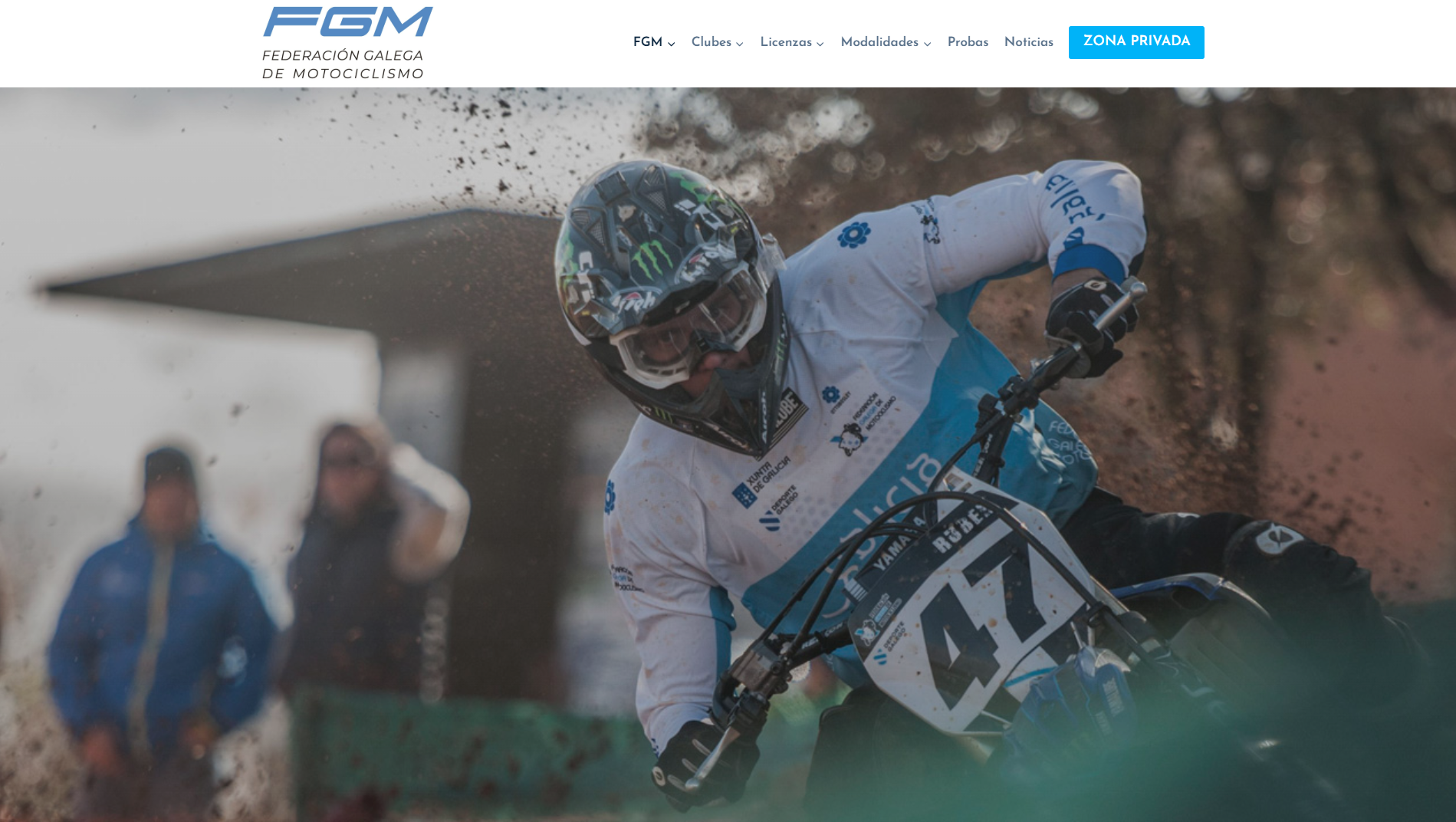 FGM: Página web WordPress